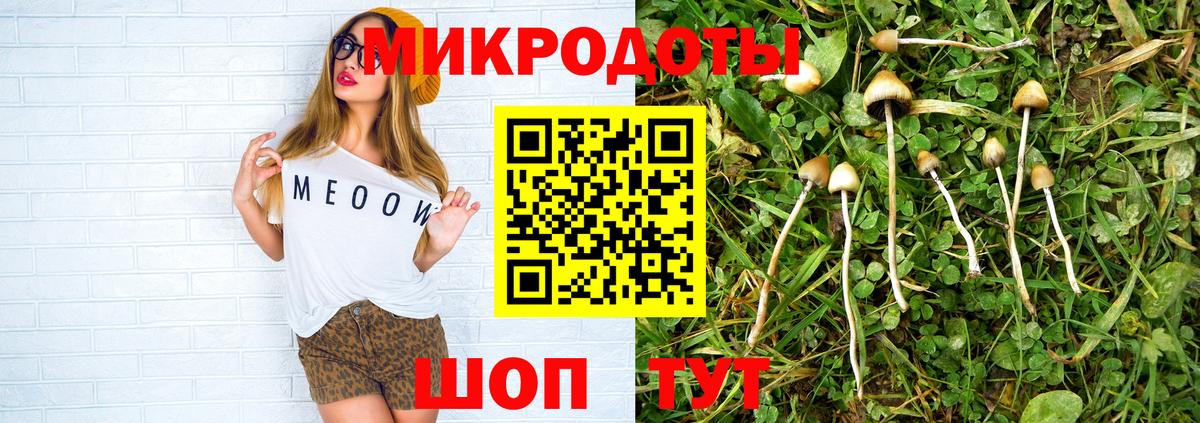 Галлюциногенные грибы Psilocybine cubensis  Вход с VPN  Лесозаводск  Псилоцибиновые грибы GOLDEN TEACHER 